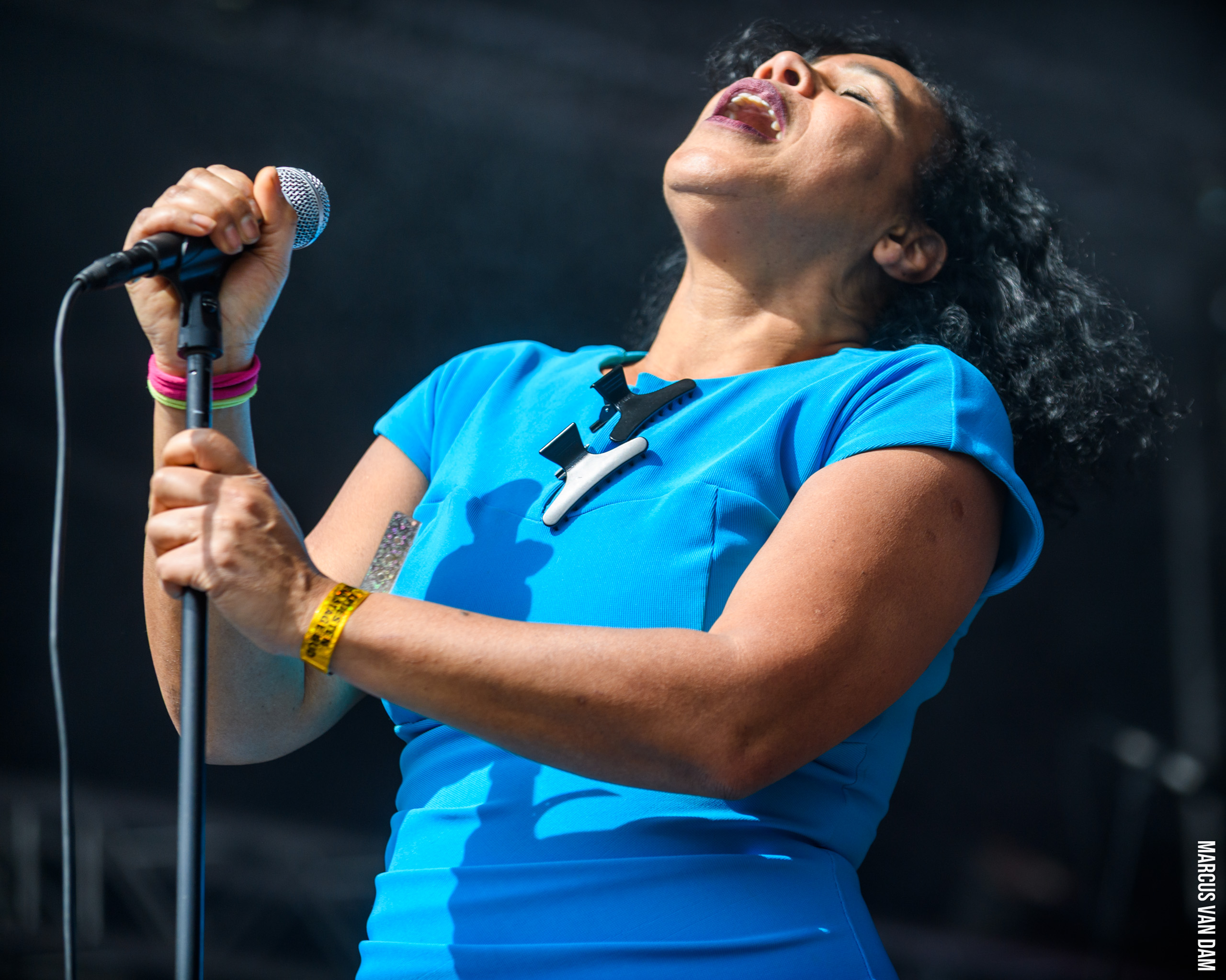 Bevrijdingspop (2026)